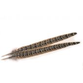 изображение Хвостовые перья самки фазана Hen Pheasant Wet Fly Tail Pair Hareline 