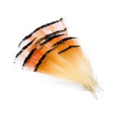 изображение Шейные перья золотого фазана Golden Pheasant Wapsi 