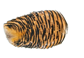 изображение Hareline Шейный сегмент Golden Pheasant Tippet Section NATURAL 