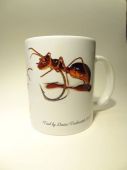изображение Бокал подарочный муравей 